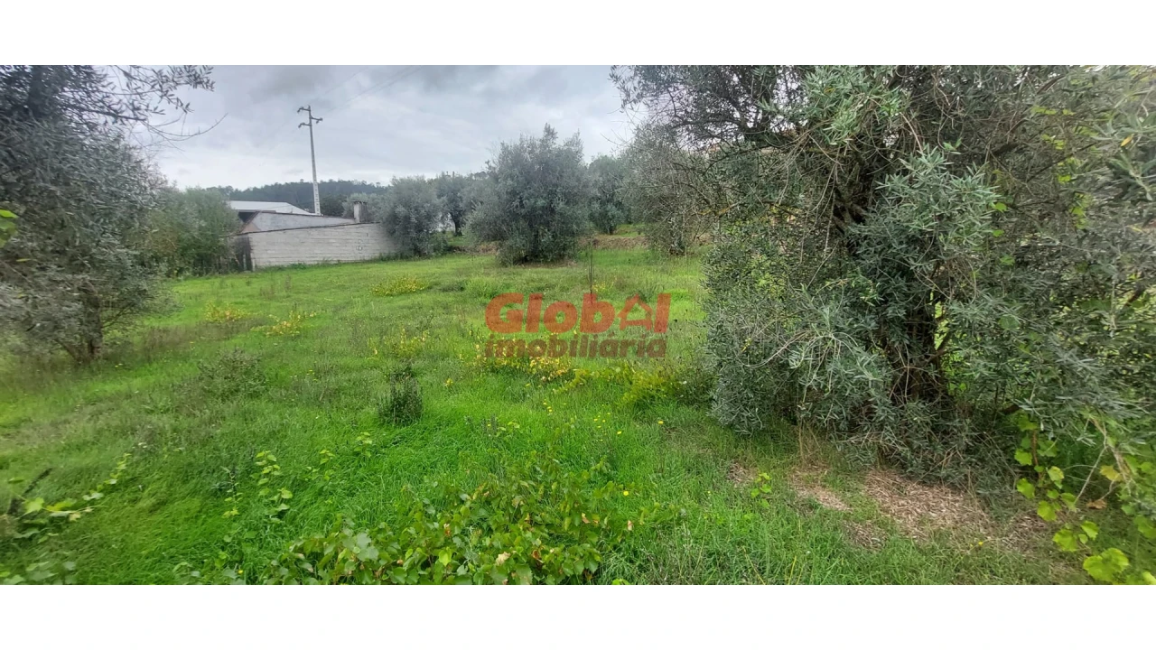 Terreno para Venda em Santos Evos Foto 3