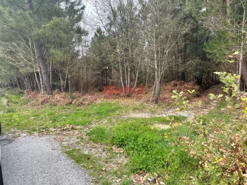 Terreno para Venda em Silgueiros