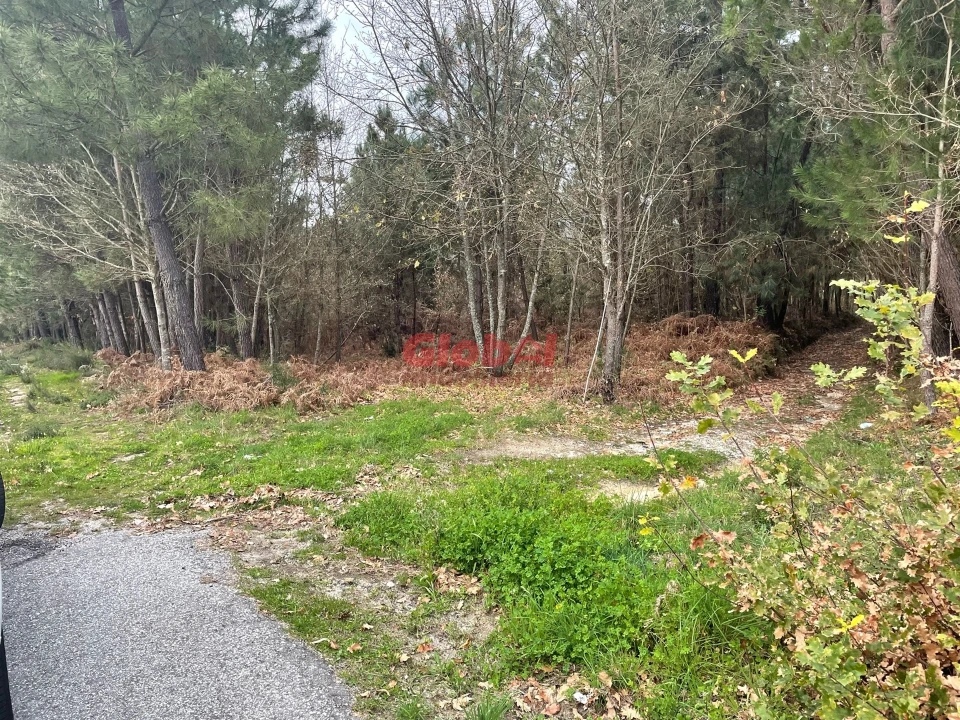 Terreno para Venda em Silgueiros Foto 1