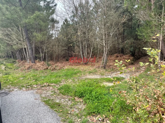 Terreno para Venda em Silgueiros