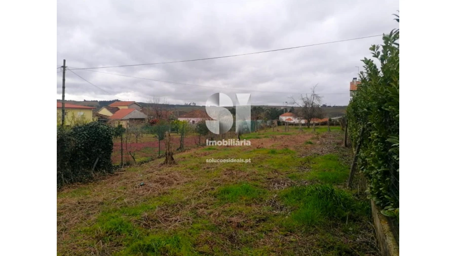 Terreno para Venda em Paços Foto 7