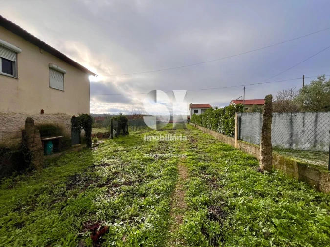 Terreno para Venda em Paços Foto 9