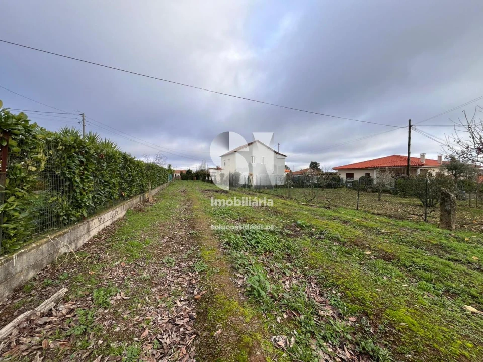 Terreno para Venda em Paços Foto 13