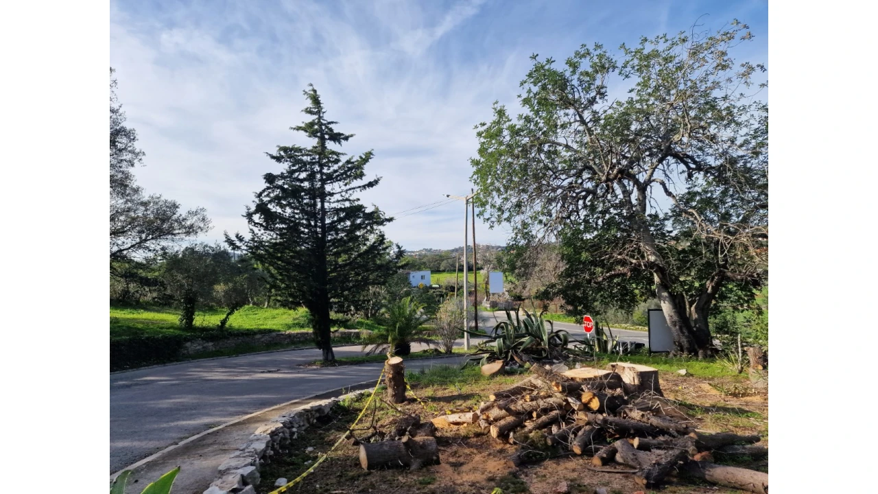 Terreno para Venda em São Brás de Alportel Foto 7