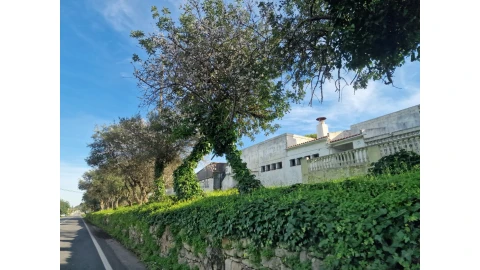 Terreno para Venda em São Brás de Alportel