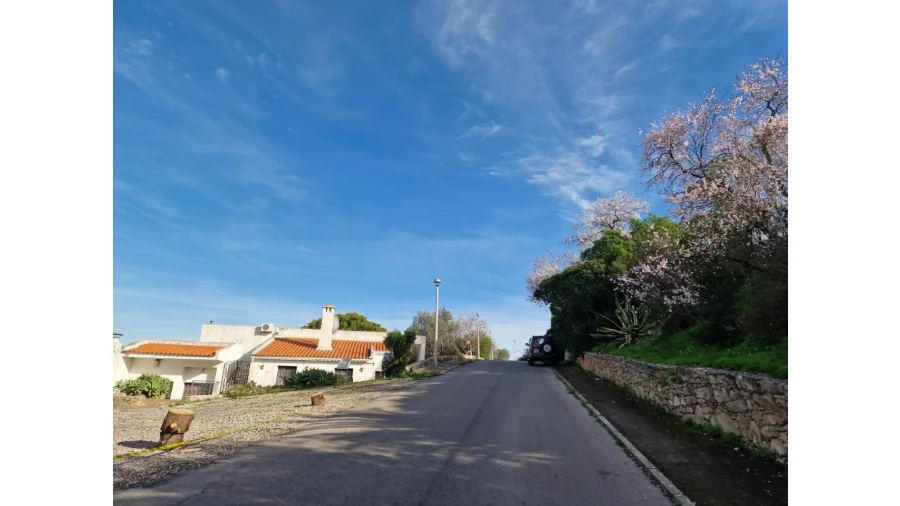 Terreno para Venda em São Brás de Alportel Foto 8
