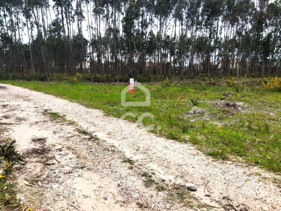 Terreno para Venda em Vieira de Leiria Foto 3