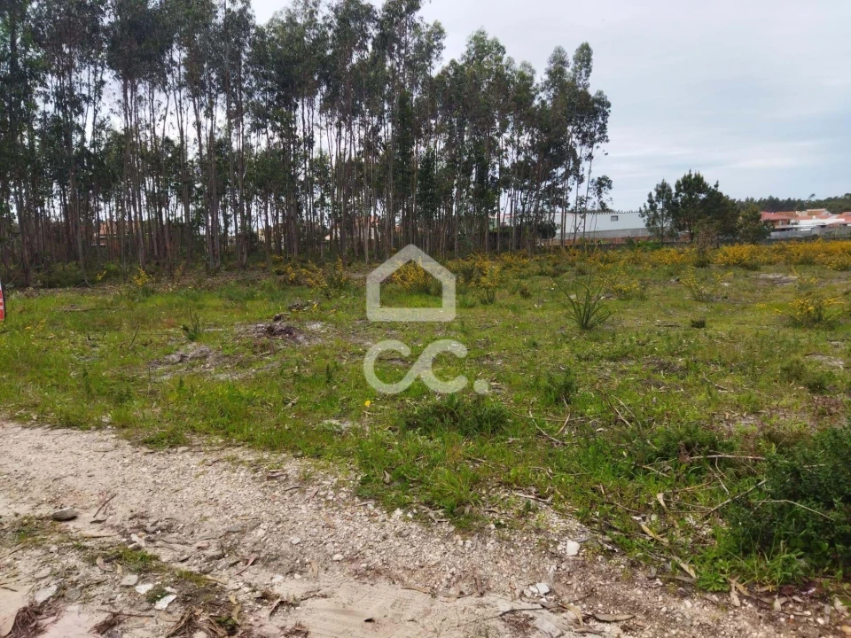 Terreno para Venda em Vieira de Leiria Foto 4