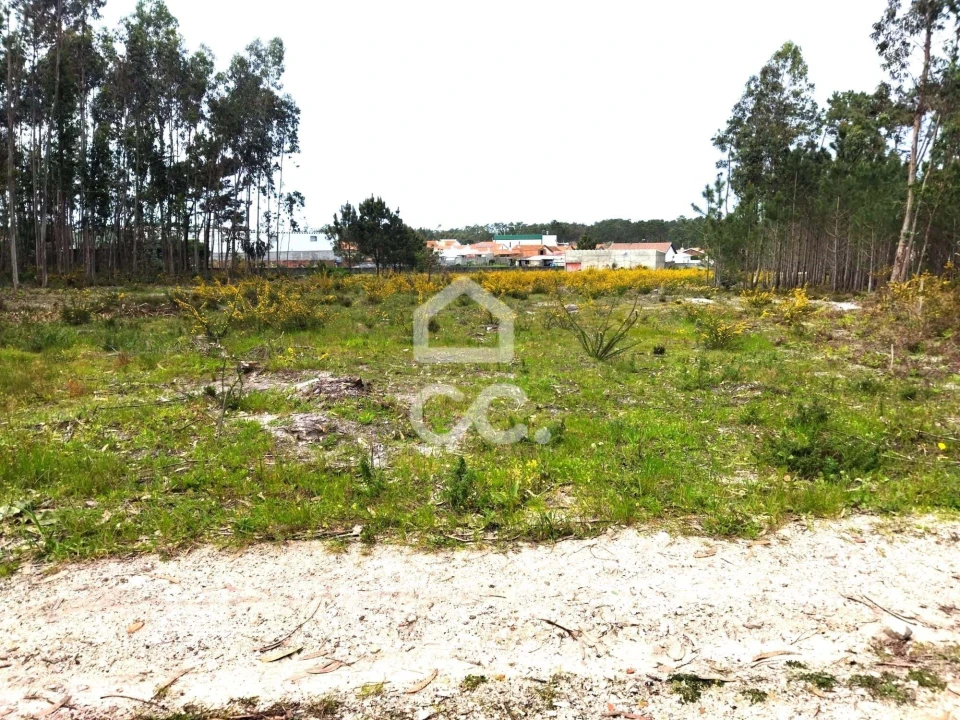 Terreno para Venda em Vieira de Leiria Foto 5