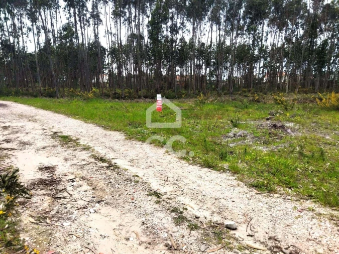 Terreno para Venda em Vieira de Leiria Foto 3