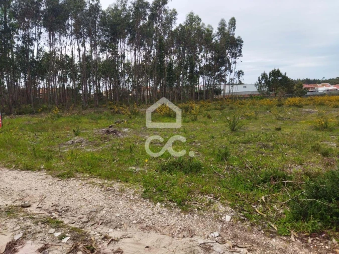 Terreno para Venda em Vieira de Leiria Foto 4