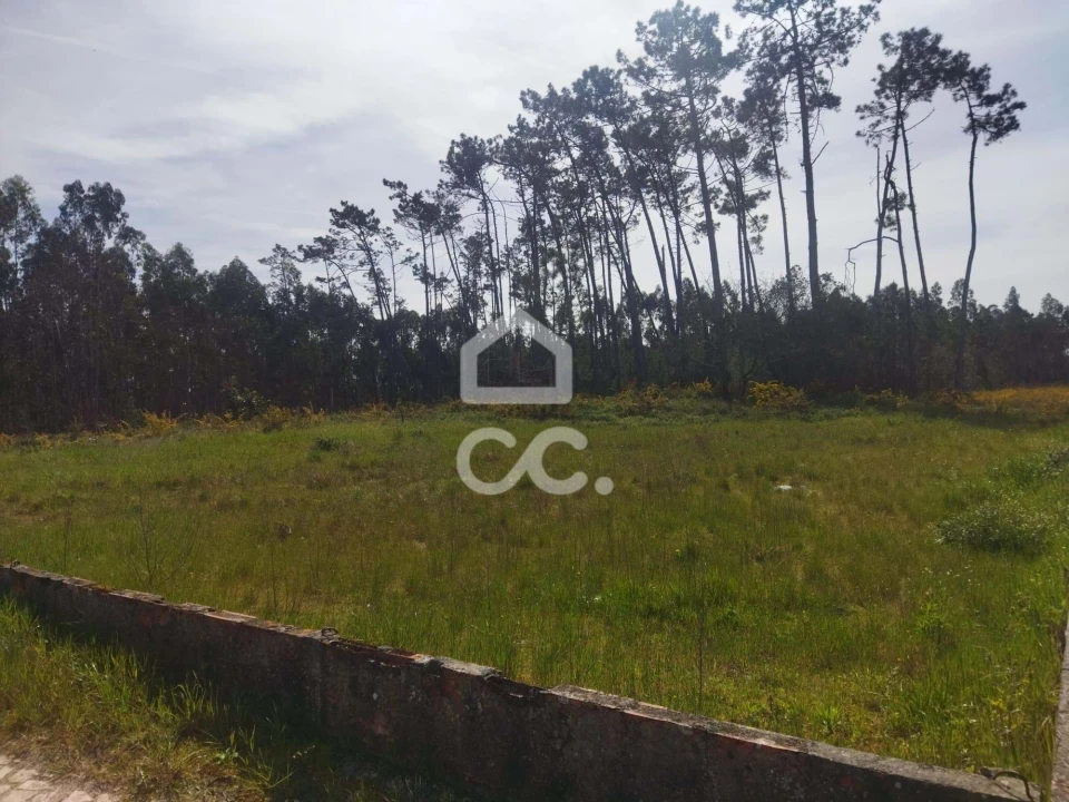 Terreno para Venda em Vieira de Leiria Foto 6
