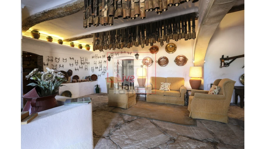 Quinta T9 para Venda em São Vicente e Ventosa Foto 3