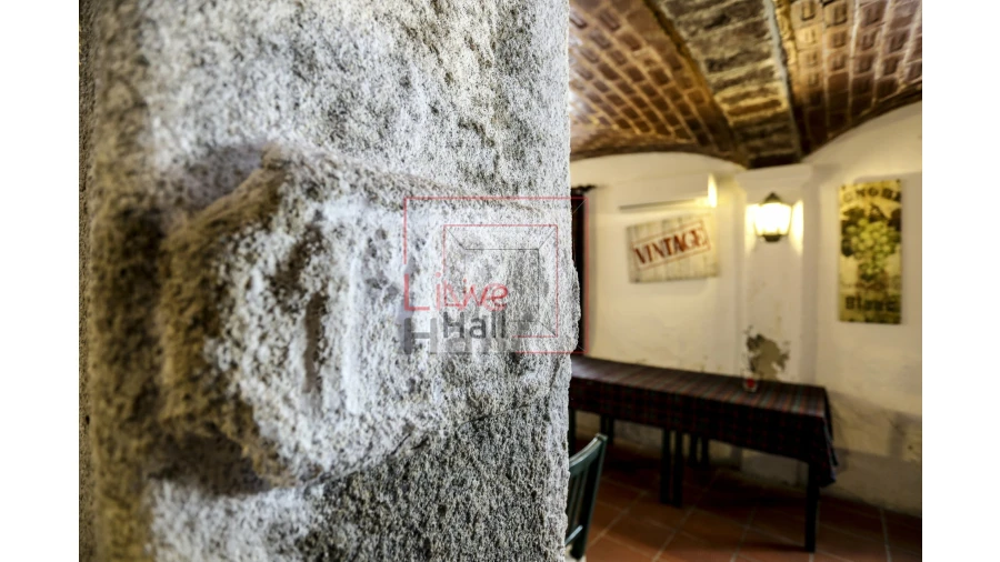 Quinta T9 para Venda em São Vicente e Ventosa Foto 5