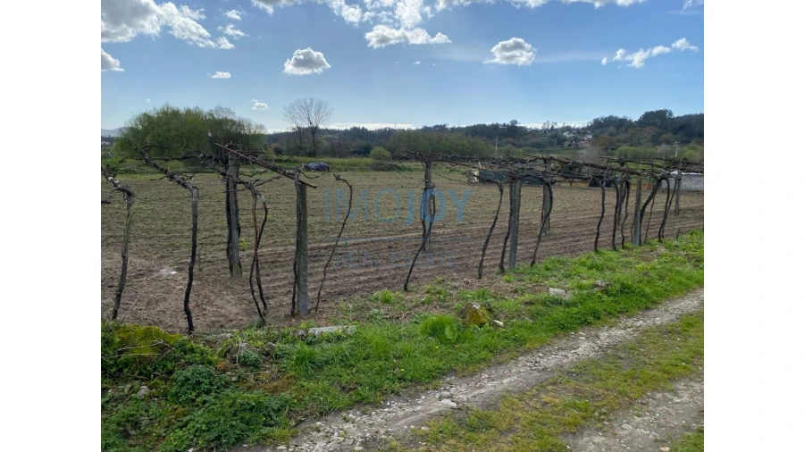 Quinta T9 para Venda em Carreira e Refojos de Riba de Ave Foto 74
