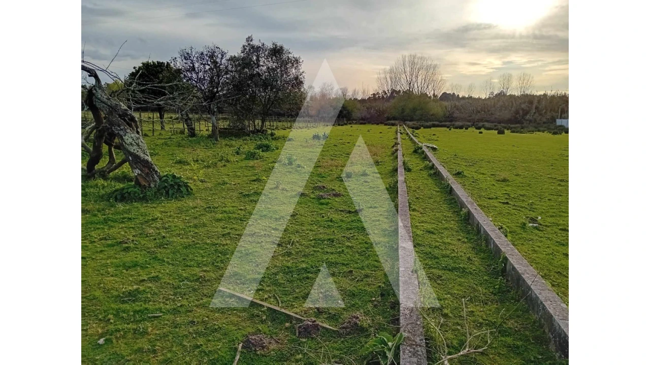 Terreno para Venda em São Lourenço do Bairro Foto 1