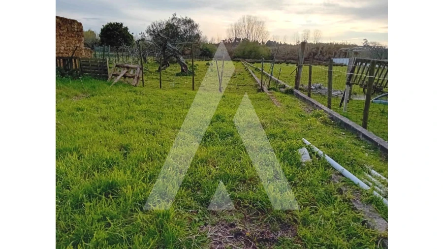 Terreno para Venda em São Lourenço do Bairro Foto 2