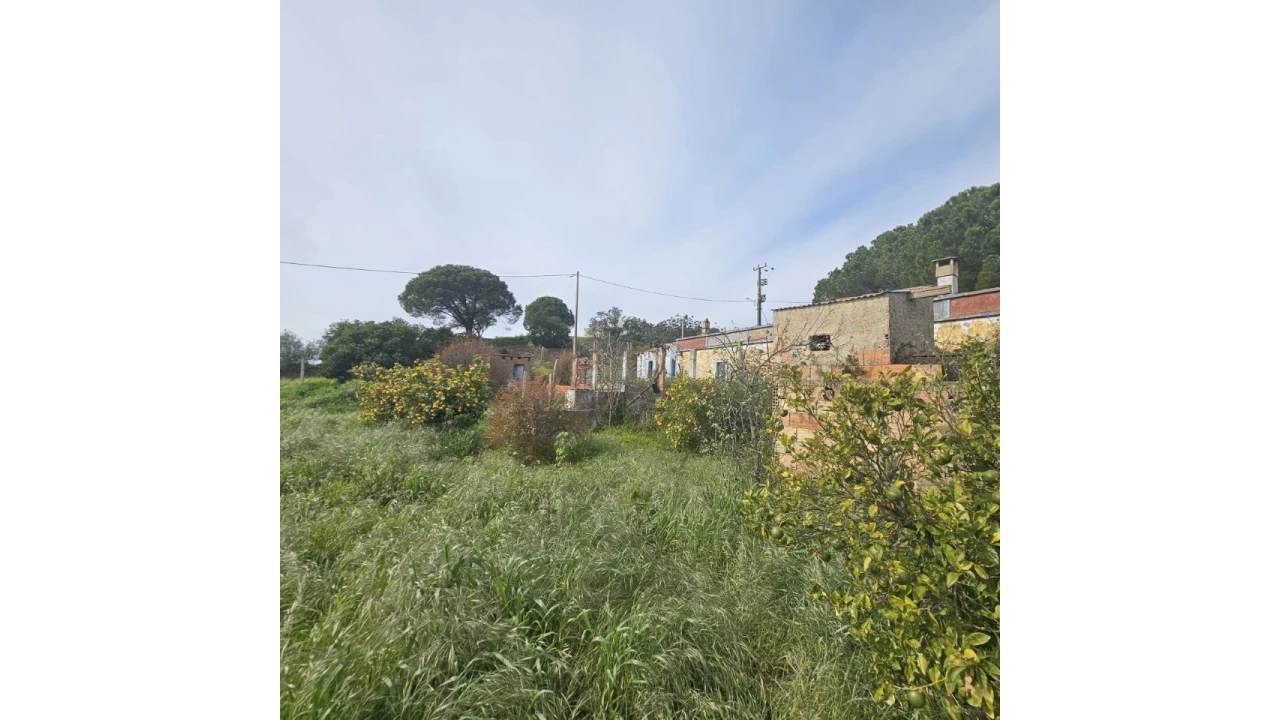 Quinta T3 para Venda em Santa Catarina da Fonte do Bispo Foto 3