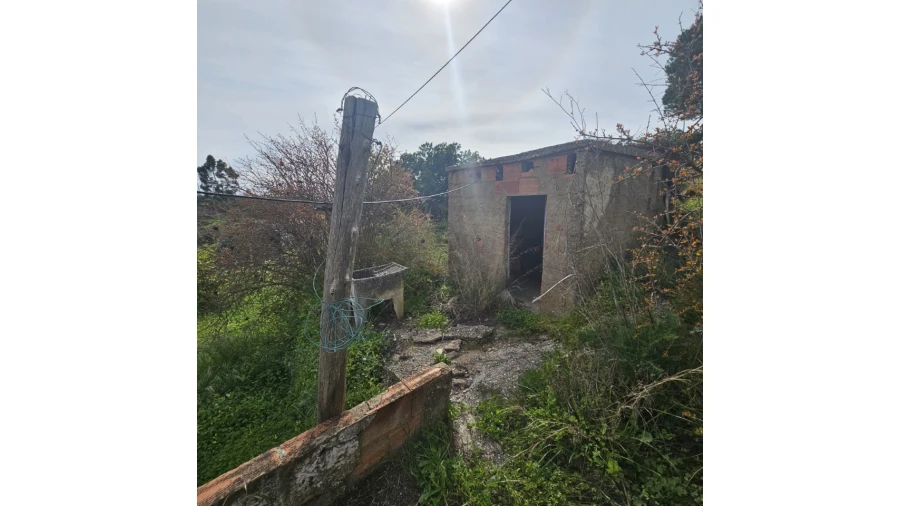 Quinta T3 para Venda em Santa Catarina da Fonte do Bispo Foto 5