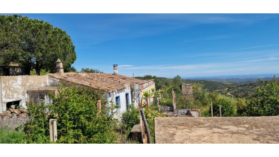 Quinta T3 para Venda em Santa Catarina da Fonte do Bispo Foto 1