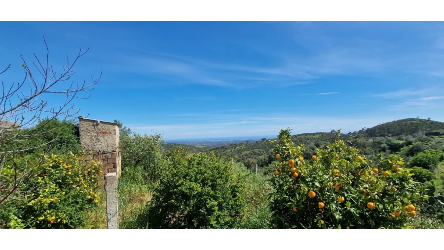 Quinta T3 para Venda em Santa Catarina da Fonte do Bispo Foto 4