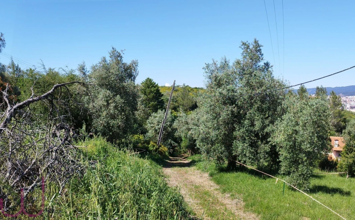 Terreno para Venda em Santa Clara e Castelo Viegas Foto 18