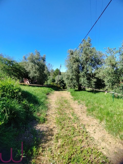 Terreno para Venda em Santa Clara e Castelo Viegas