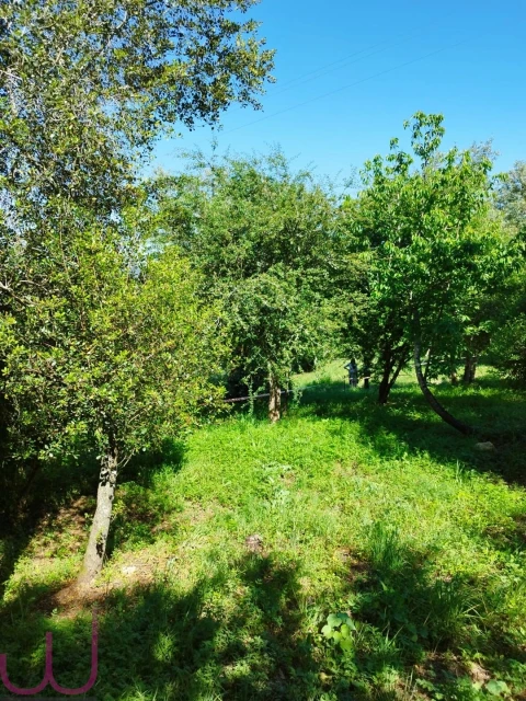 Terreno para Venda em Santa Clara e Castelo Viegas