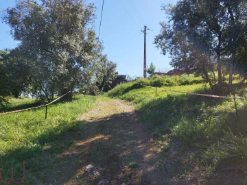 Terreno para Venda em Santa Clara e Castelo Viegas