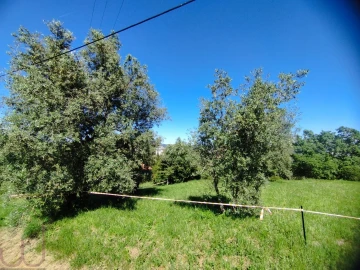 Terreno para Venda em Santa Clara e Castelo Viegas