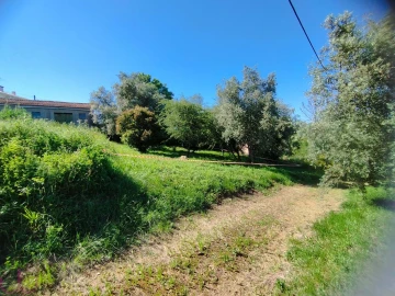 Terreno para Venda em Santa Clara e Castelo Viegas
