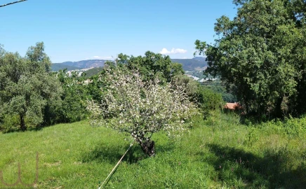 Terreno para Venda em Santa Clara e Castelo Viegas