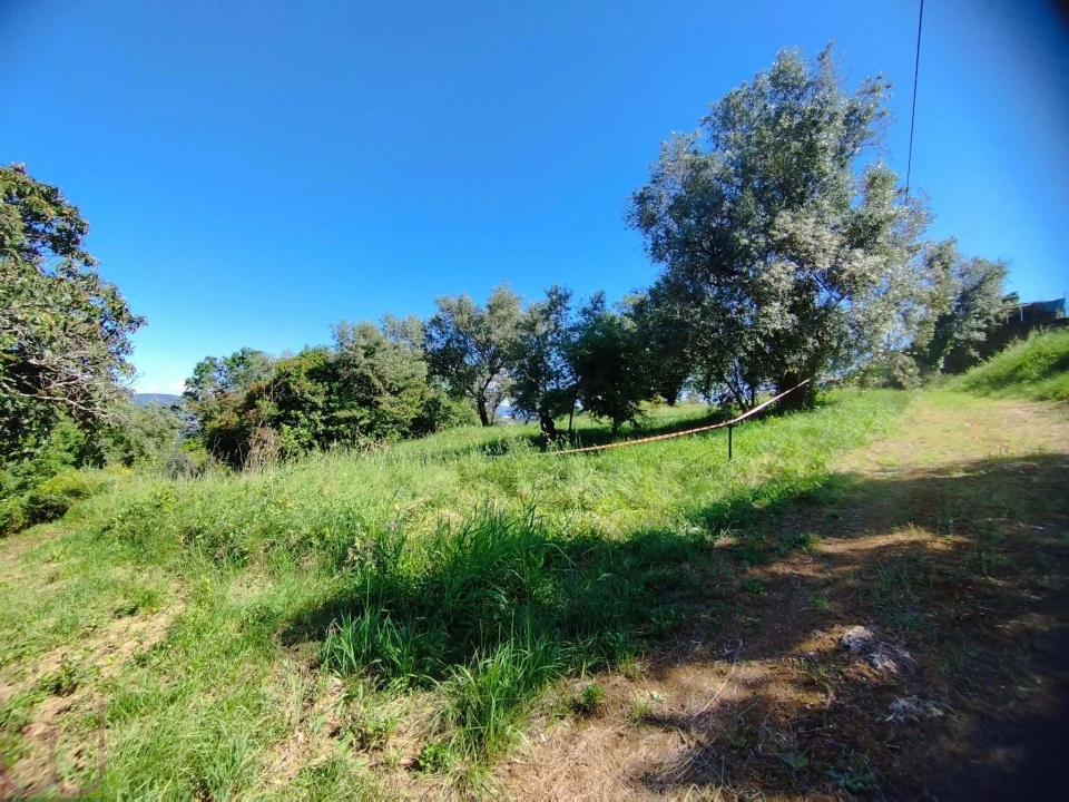 Terreno para Venda em Santa Clara e Castelo Viegas Foto 11