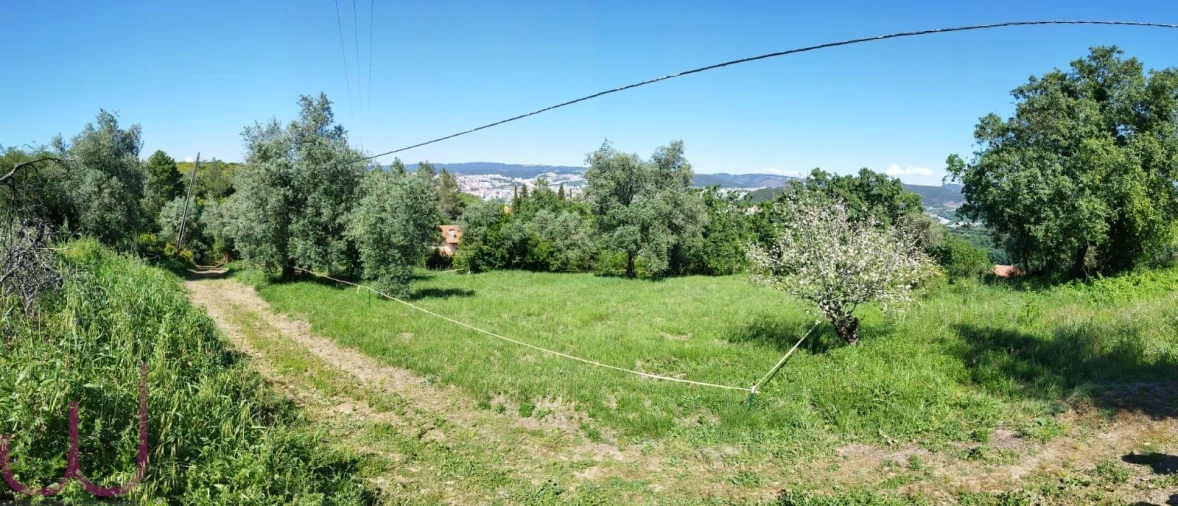 Terreno para Venda em Santa Clara e Castelo Viegas Foto 4
