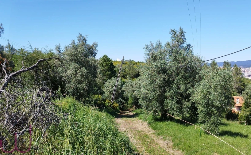 Terreno para Venda em Santa Clara e Castelo Viegas Foto 18