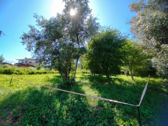 Terreno para Venda em Santa Clara e Castelo Viegas Foto 17