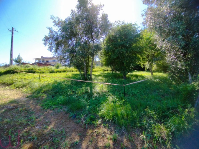 Terreno para Venda em Santa Clara e Castelo Viegas Foto 13