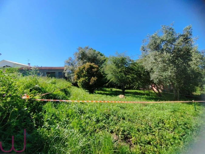 Terreno para Venda em Santa Clara e Castelo Viegas Foto 2