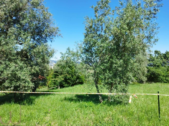 Terreno para Venda em Santa Clara e Castelo Viegas Foto 23