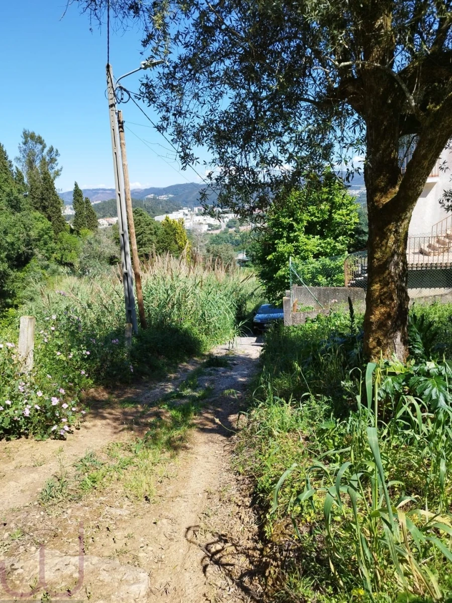Terreno para Venda em Santa Clara e Castelo Viegas Foto 5