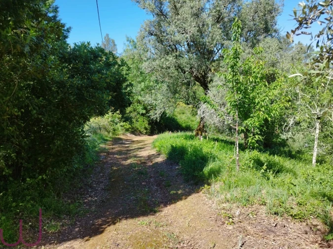 Terreno para Venda em Santa Clara e Castelo Viegas Foto 9