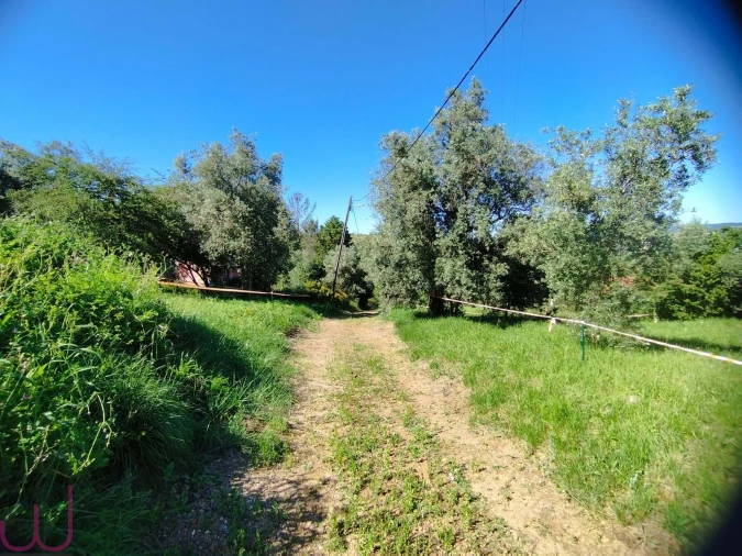 Terreno para Venda em Santa Clara e Castelo Viegas Foto 8