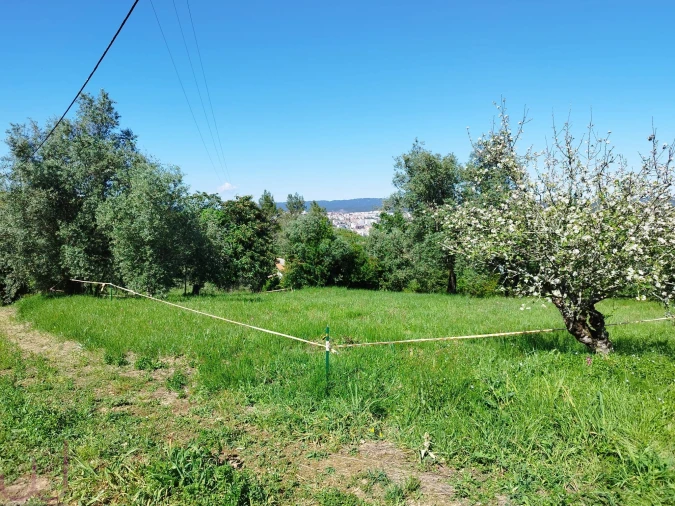 Terreno para Venda em Santa Clara e Castelo Viegas Foto 15