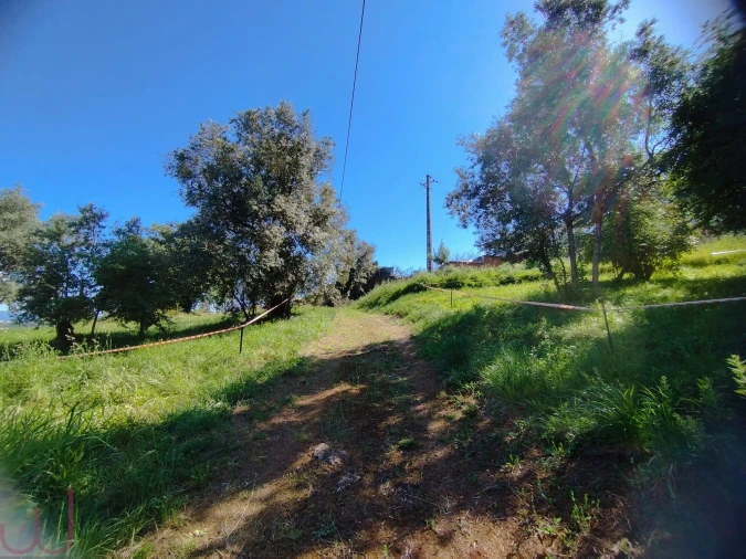 Terreno para Venda em Santa Clara e Castelo Viegas Foto 3