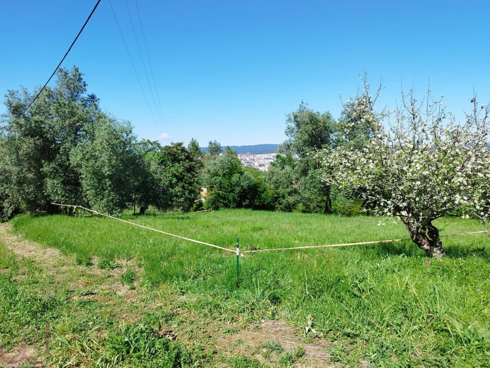 Terreno para Venda em Santa Clara e Castelo Viegas Foto 15