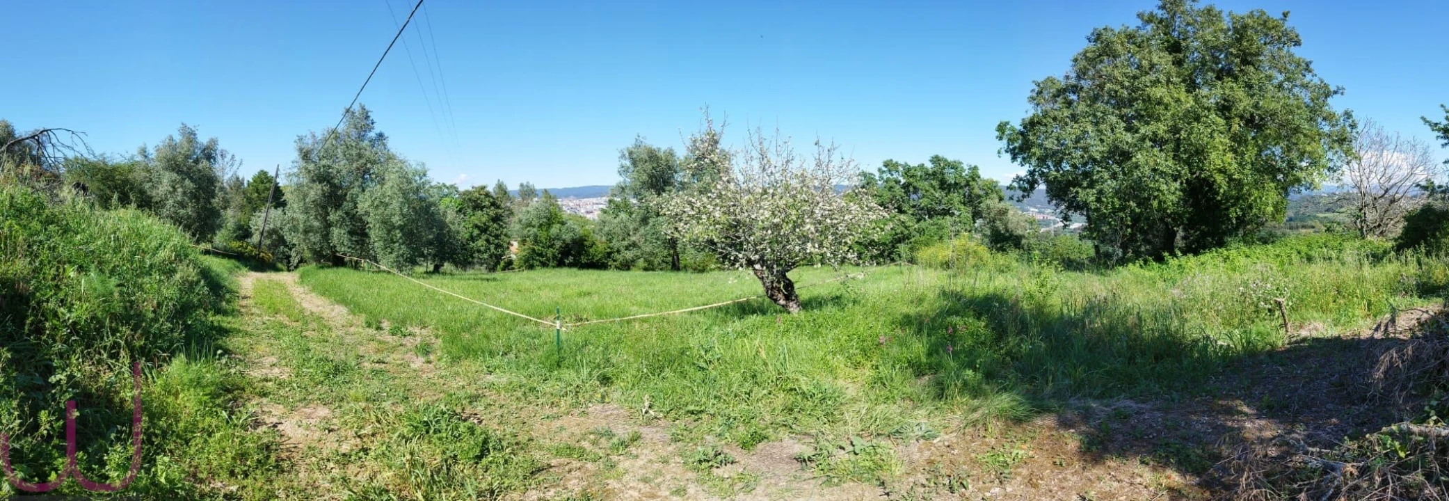 Terreno para Venda em Santa Clara e Castelo Viegas Foto 16