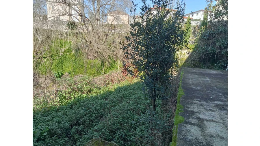 Negócio para Venda em Ceivães e Badim Foto 8