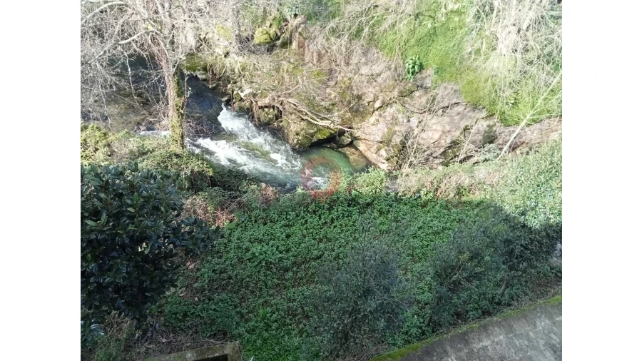 Negócio para Venda em Ceivães e Badim Foto 17