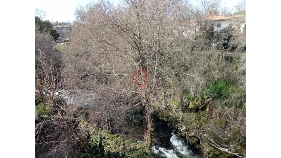 Negócio para Venda em Ceivães e Badim Foto 14