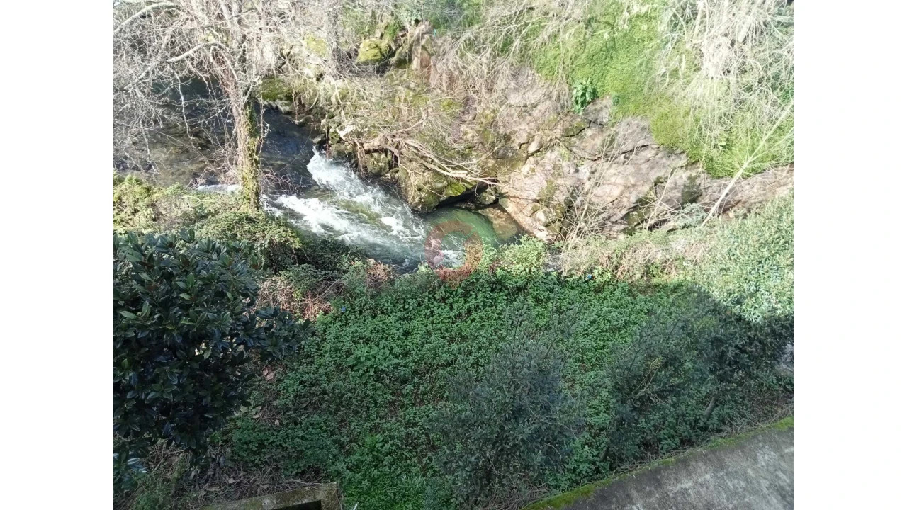Negócio para Venda em Ceivães e Badim Foto 17
